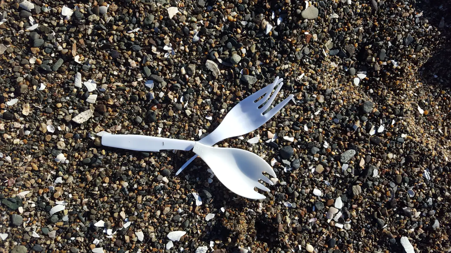 Two white disposable plastic sporks lying crossed on a sunlit beach of small dark pebbles and broken white shells; one is whole, the other has lost most of its handle, and a thin broken sliver of plastic sticks out from under them.